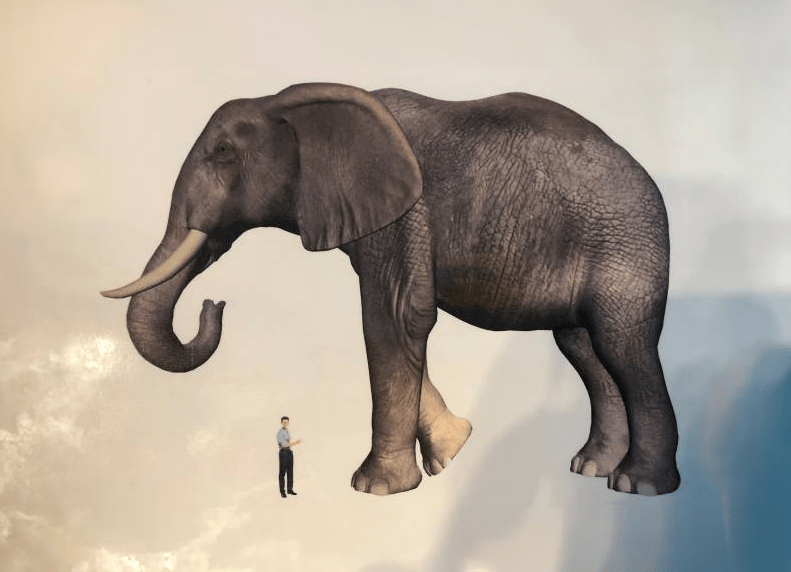 A man standing next to a giant elephant